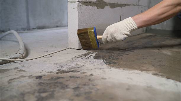 24/7 Emergency Waterproofing experts in Algonquin, IL